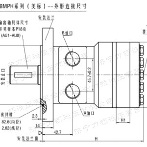 BM1系列（美標(biāo)）馬達(dá)