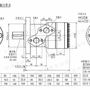 BM2(國際)系列