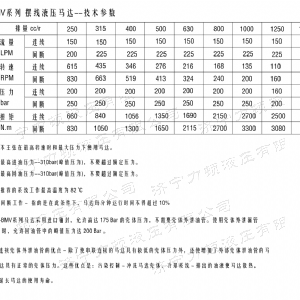 BMV無(wú)軸承系列馬達(dá)