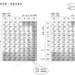 BMV無(wú)軸承系列馬達(dá)