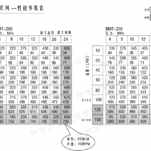 BMT車輪系列馬達(dá)