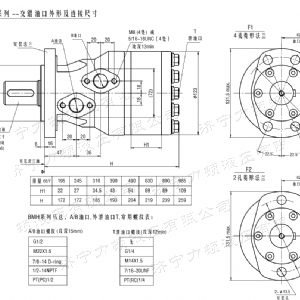 BMH系列交錯(cuò)油口液壓馬達(dá)